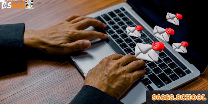 Khái quát tổng thể về hình thức liên hệ S666